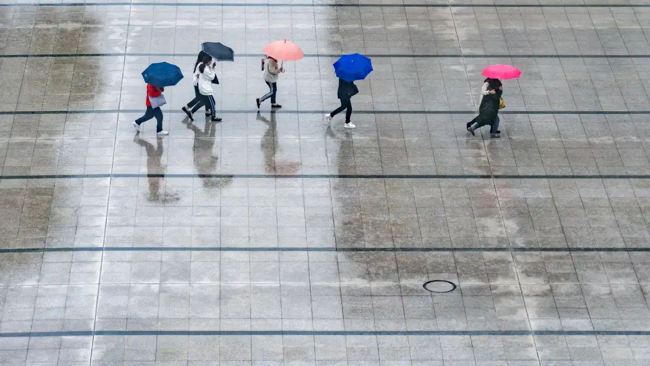 青青草原网打造绿色健康的网络家园